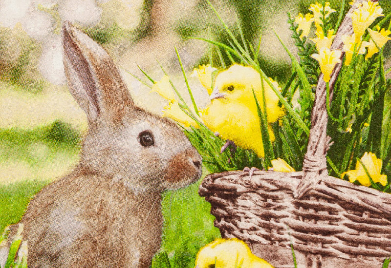 Serviette, Hase und Kücken, Osterkorb, ostern, grünes Gras, verschwommener Hintergrund